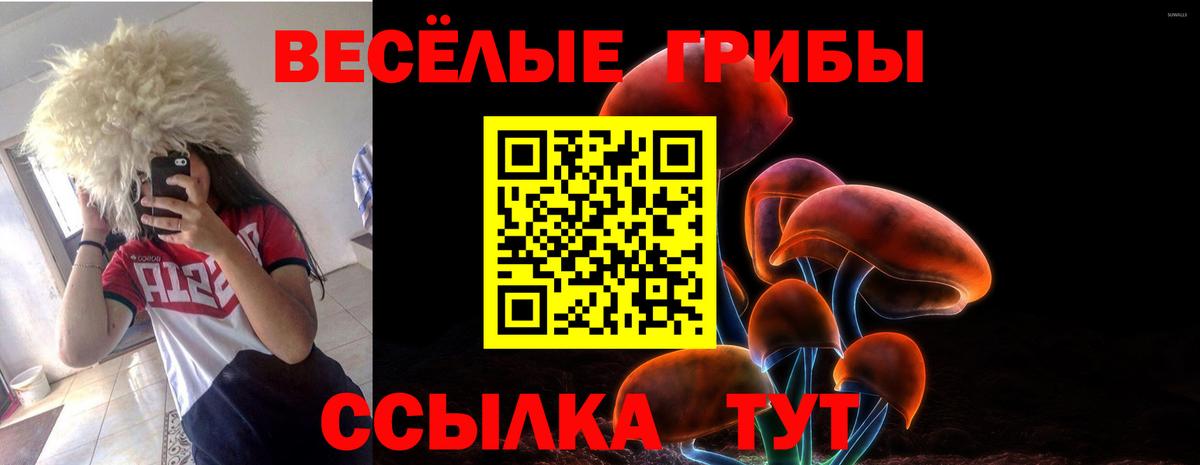Псилоцибиновые грибы Magic Shrooms  закладки  Канаш  Псилоцибиновые грибы ЛСД  Вход с VPN 